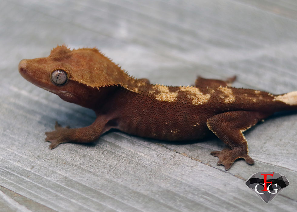 Thumbnail: GRWT3000 100% HET AXANTHIC