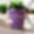 Thumbnail: English Breakfast Herbal Tea