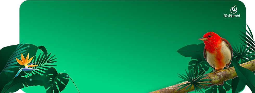 banner-2.png