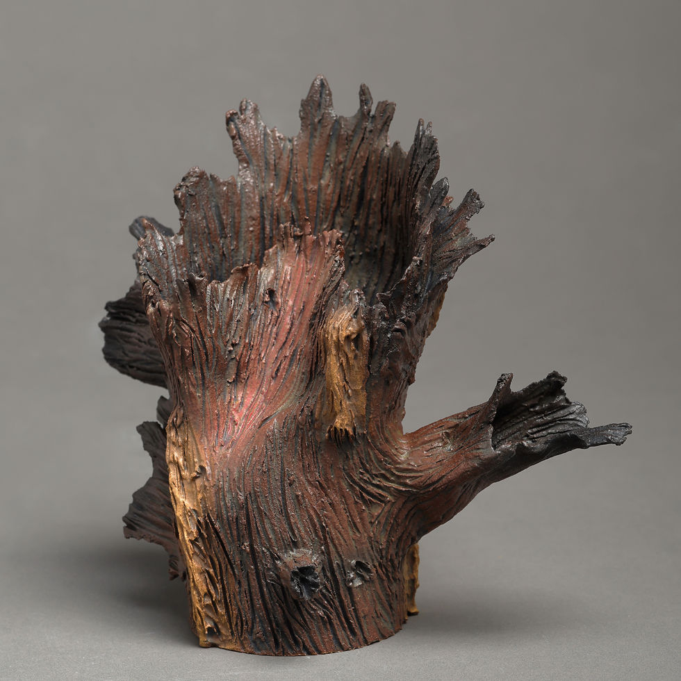 A012_Dead but alive woods