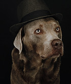 Nadine Rall, Fotografin Reutlingen und Umgebung-1-38.jpg