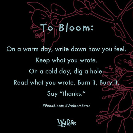 PeakBloomInstructions.jpeg