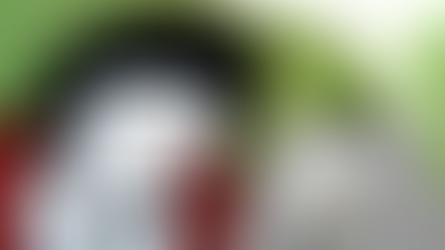 Memory Limited Portfolio? Hoo boy...