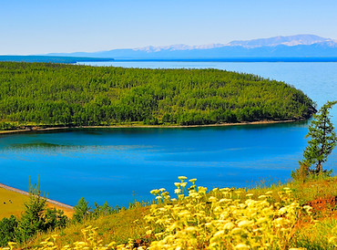 Beautiful lake and yellow flowers.