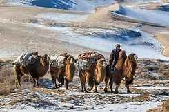 Khongor Sand Dunes winter time tour in Mongolia