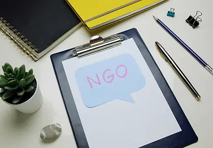 Non-Governmental Organizations (NGOs).webp