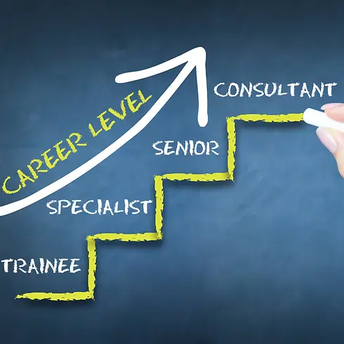 Job Opportunities by Experience Level.webp