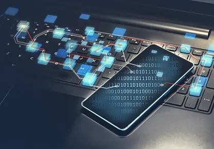 Government Jobs.webp