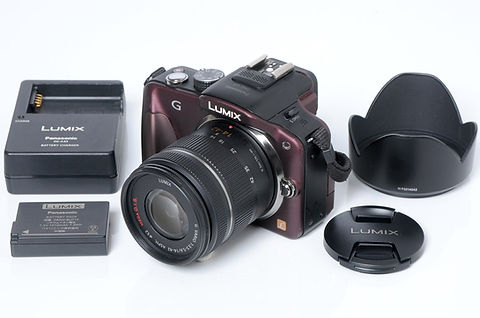Panasonic EP-2M42-gk さり気 グラスグリーン&ウッドブラック