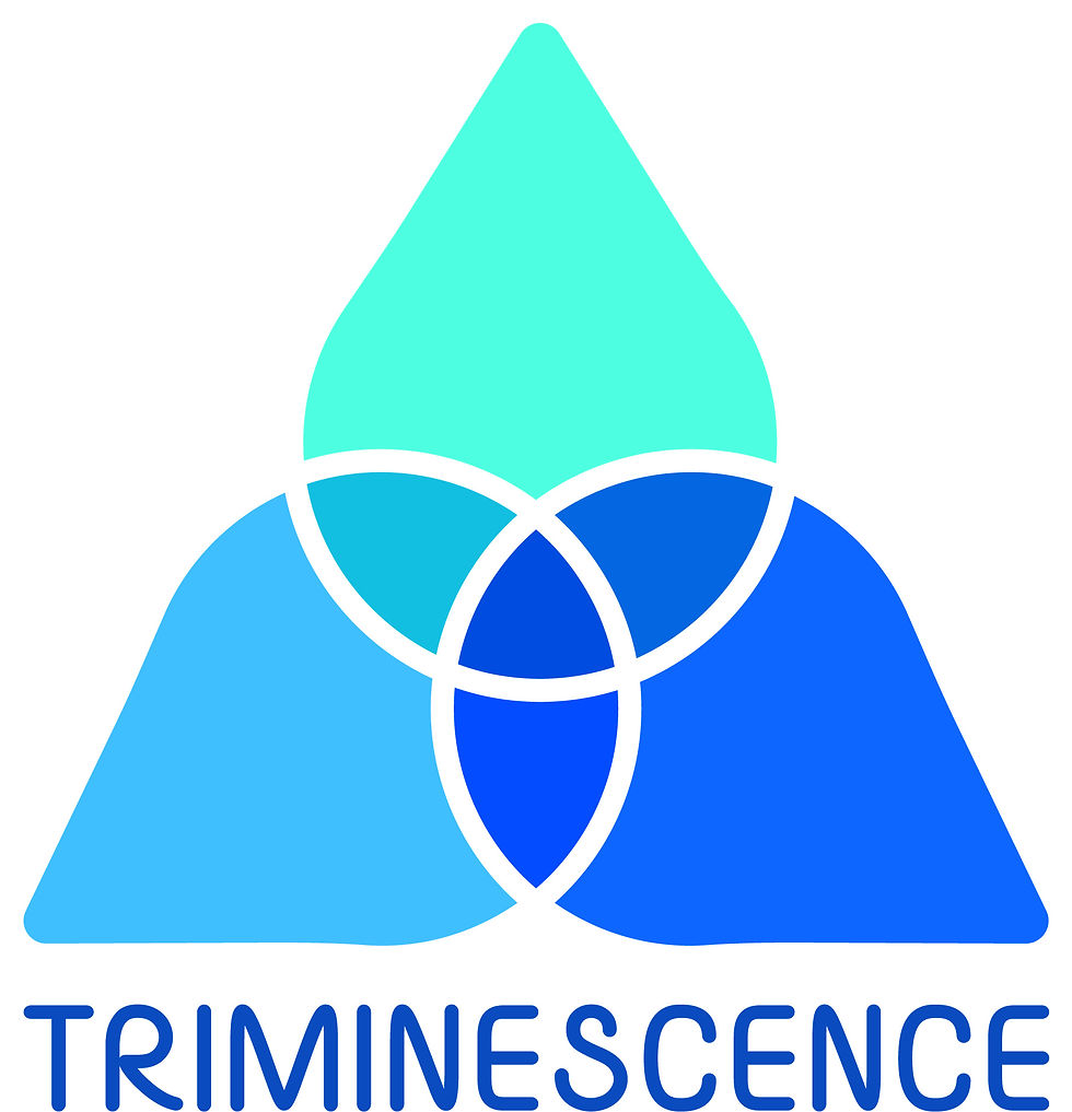 Atelier découverte Triminescence (4)