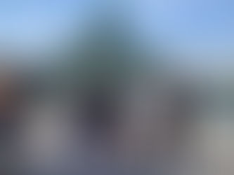 東京ディズニーランド