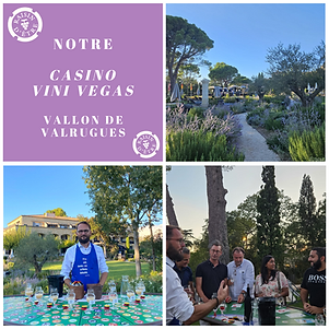 CASINO DES VINS AVIGNONS DEGUSTATION DE VIN DE PROVENCE.png