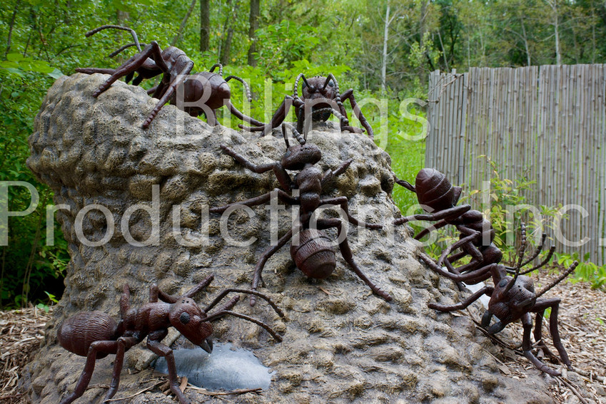 black20garden20ants.jpeg