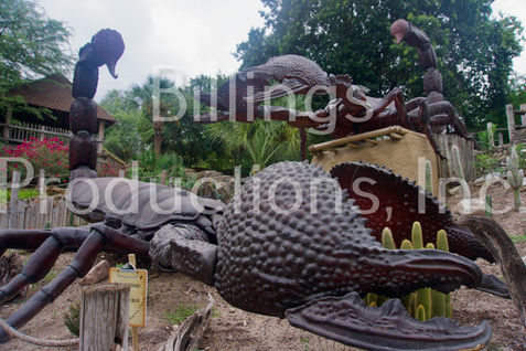 Emperor Scorpion