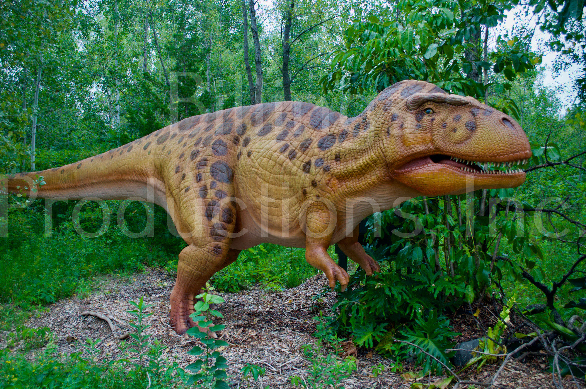 Acrocanthosaurus