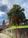 IMG_7401.jpeg