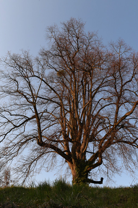 DSC_1541.JPEG