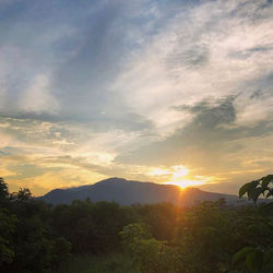 木屋區森林日出看夕陽