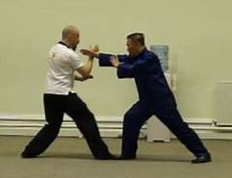Chinese Martial Art