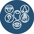 Sensory Friendly Learning