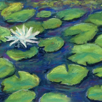 Beymwaterliliy.jpeg