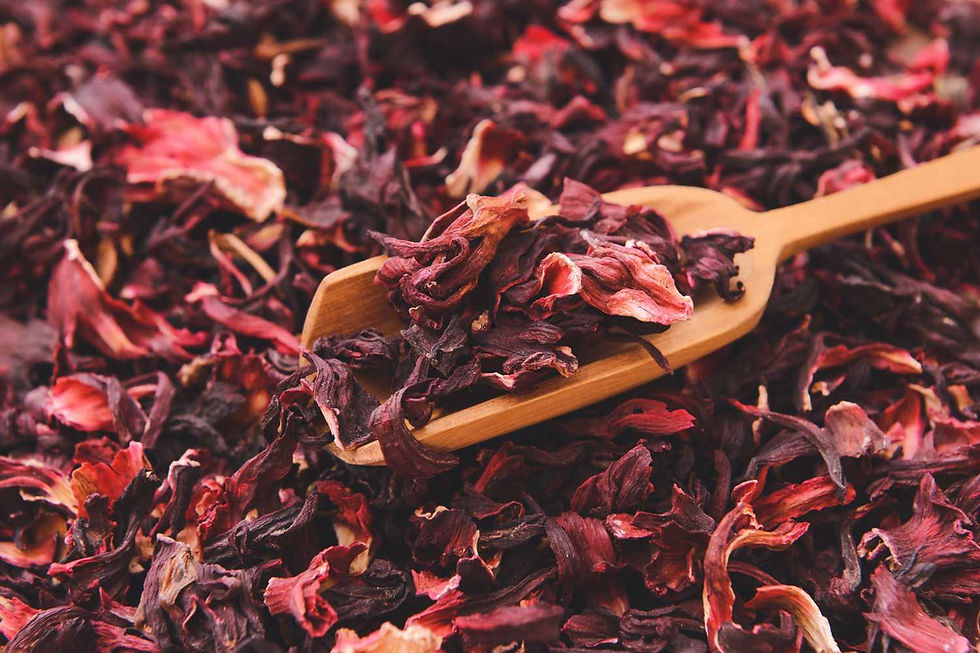 Tisane d'hibiscus