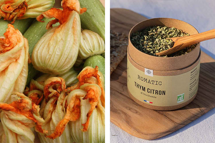Fleurs de courgettes et thym citron bio
