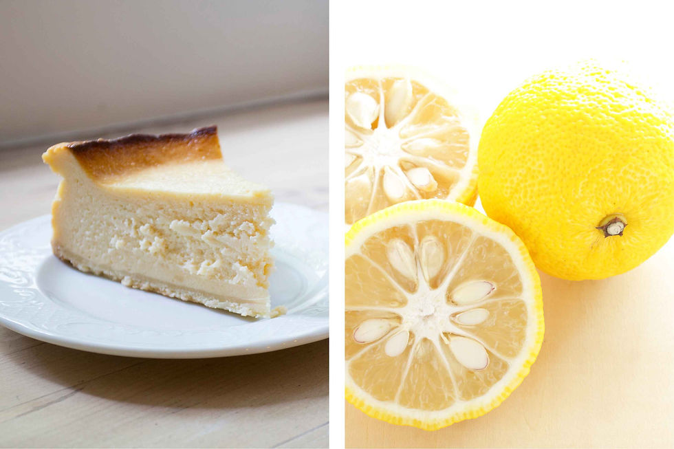 Cheesecake au yuzu et thym citron
