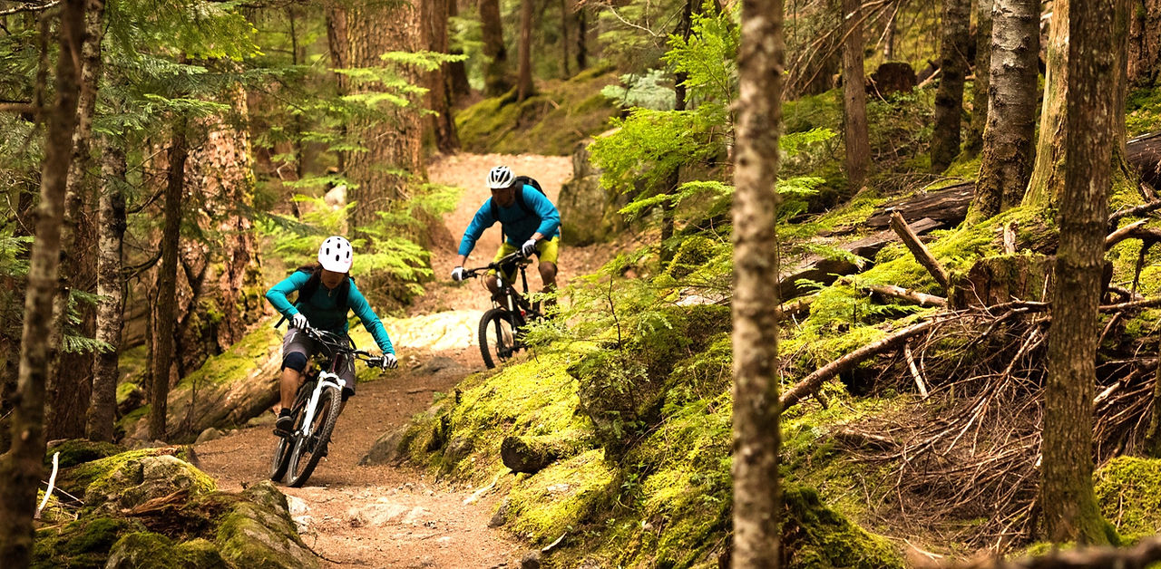 Steinbrecher Trails