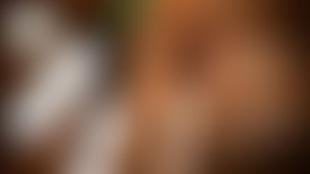 A day in the life: Bean to Bottle Castor Oil.