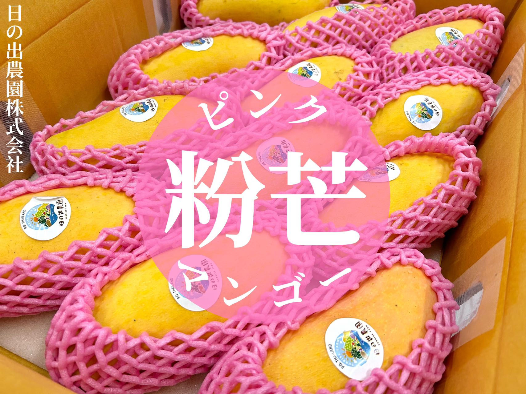 Pink mango _4.5kg (1 box)