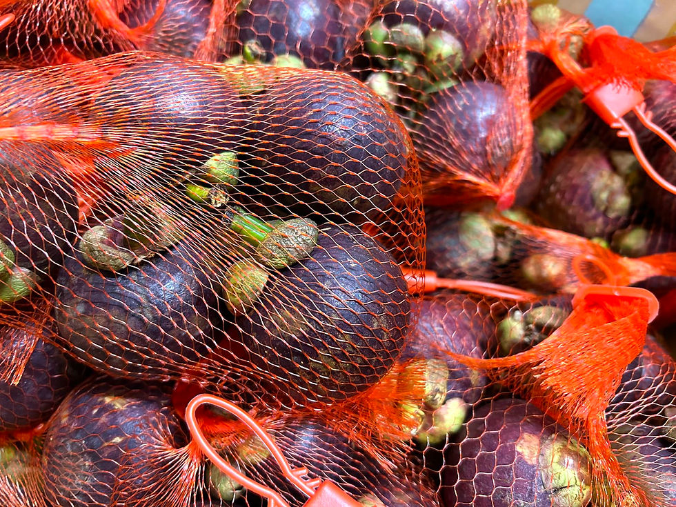 Thumbnail: マンゴスチン｜山竹