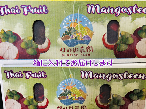 マンゴスチン｜山竹 | 日の出農園
