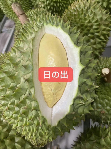 5kg ベトナム産新鮮ドリアン 榴蓮 いい状態 ドリアン ベトナム産 冷凍ドリアン 480g 箱入り 冷凍便 送料無料