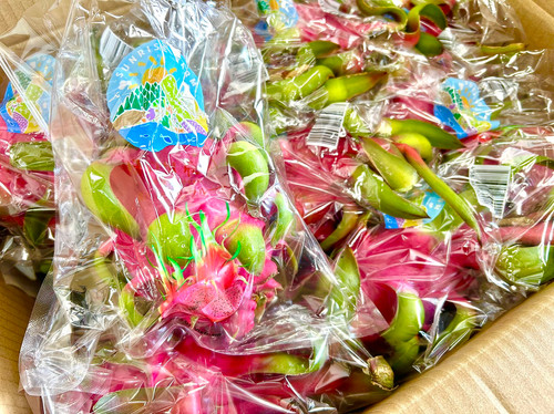 Dragon Fruit _10kg (1 box) | 日の出農園