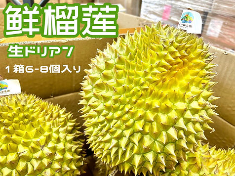ベトナム産ドリアン｜越南榴蓮 | 日の出農園