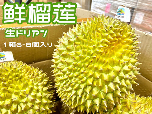 ベトナム産ドリアン｜越南榴蓮 | 日の出農園