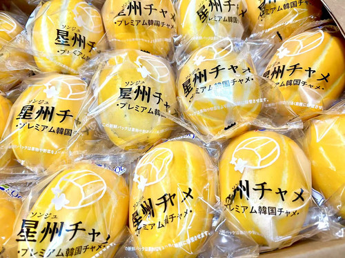 チャメ（マクワウリ）｜香瓜 | 日の出農園