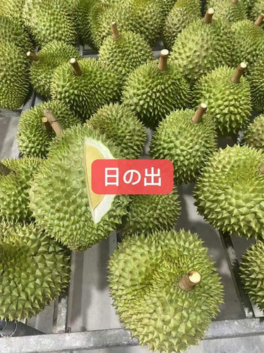 5-6kg ベトナム産新鮮ドリアン 榴莲 数量限定特売』 5-6kg （2-3玉）ベトナム産新鮮ドリアン 榴莲