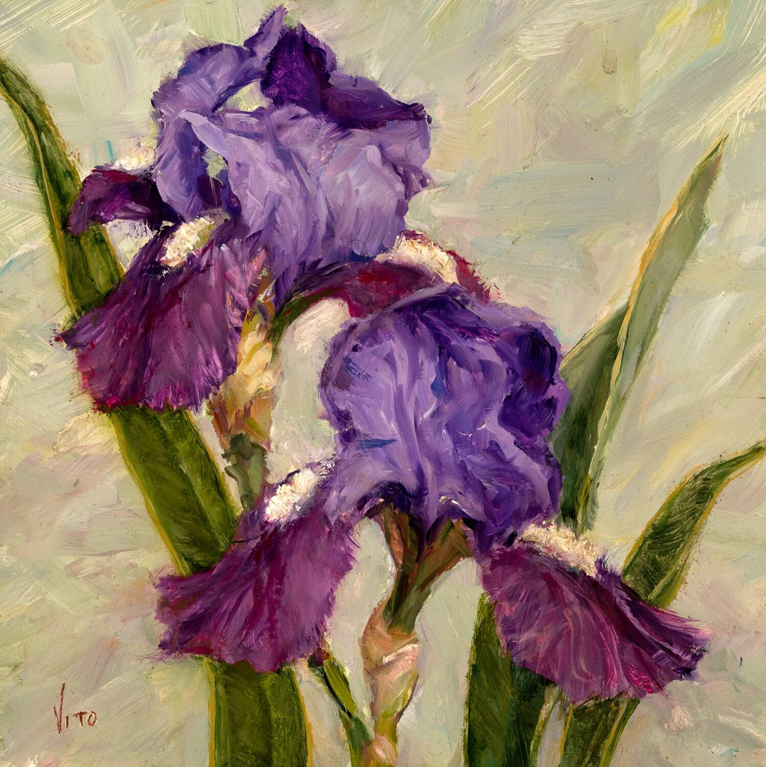 Iris in Violet - Teresa R Vito