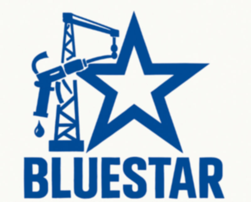 Blue star logo small 1_edited.jpg