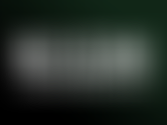 From Concept to Creation: The New Boom Van Behoefte Logo, Crafted with Love for Nature and Style