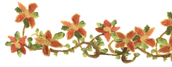 flower construct.png