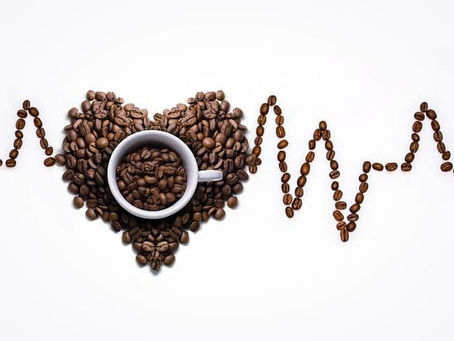 Tout savoir sur le café