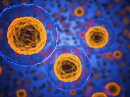 La Fibromyalgie, une problématique multifactorielle