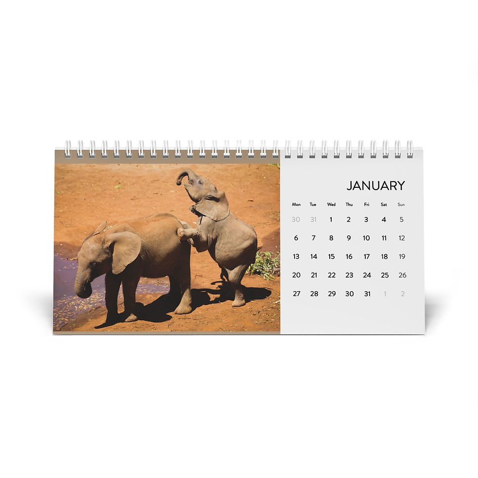 Thumbnail: Elephant Desk Calendar (2025 grid)