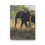 Thumbnail: Tafika Hardcover Journal Matte