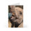 Thumbnail: Blank Elephant Calf Greeting Cards (7 pcs)