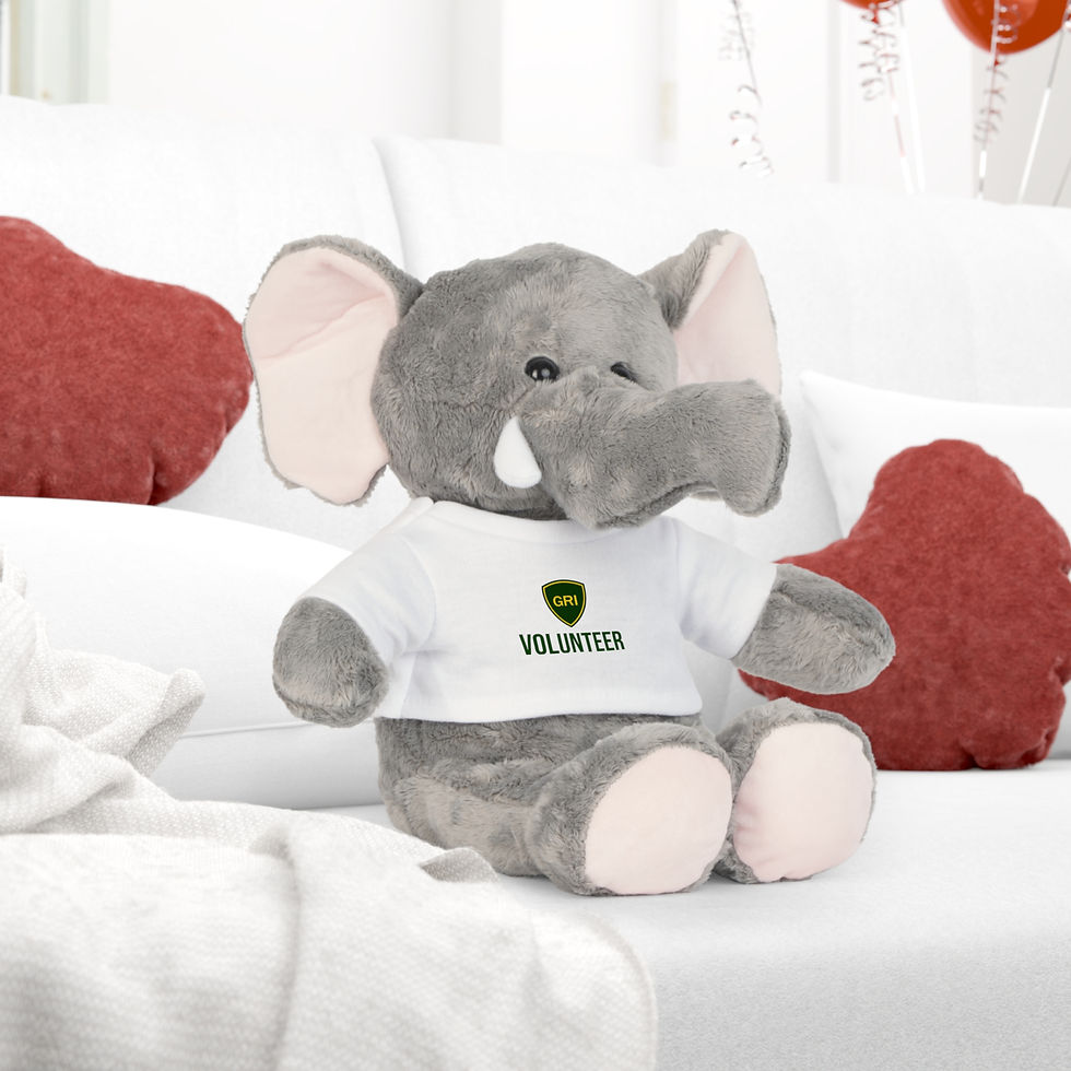 Thumbnail: Volunteer Plush Elephant Toy with T-Shirt