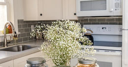 Social Media Influencer?